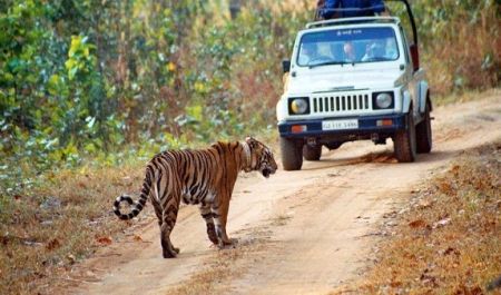 Betla National park Netarhat