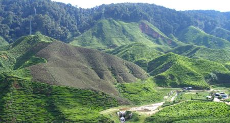 coorg hill station