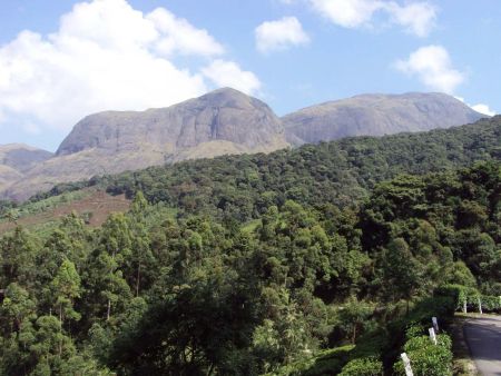 Munnar Anamudi peak