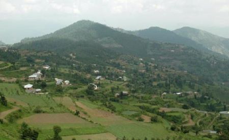 Naldehra