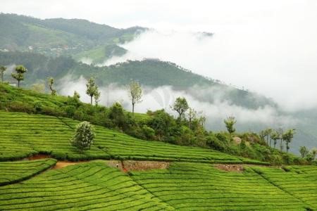 Ooty Nilgiris hill station