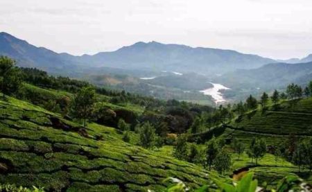 Vythiri hill station from Kerala