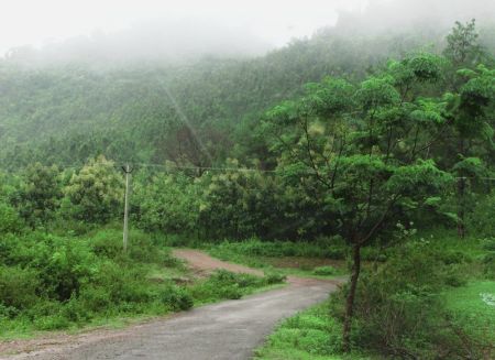 Daringbadi hill station