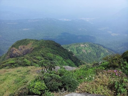 Agasthyamalai Hill