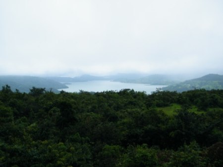 Radhanagari wildlife sanctuary flora