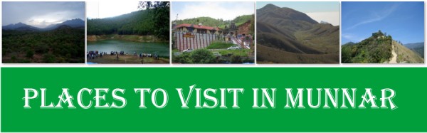 10 Places to Visit in Munnar