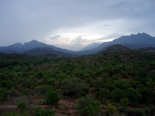 Chinnar Wild Life Sanctuary