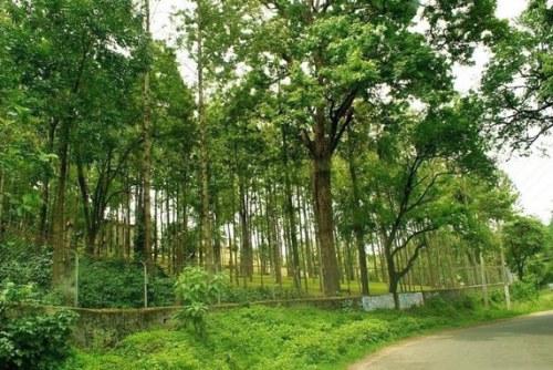 The beautiful Marayoor Sandalwood Forest