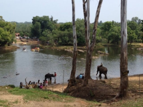 Image result for Ranipuram Sanctuary