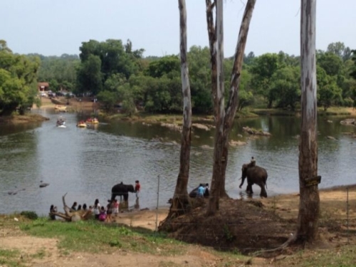 Ranipuram Sanctuary