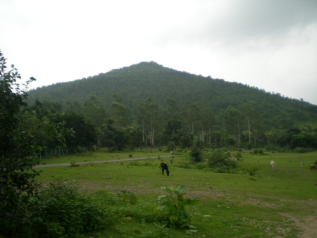 Susunia hills