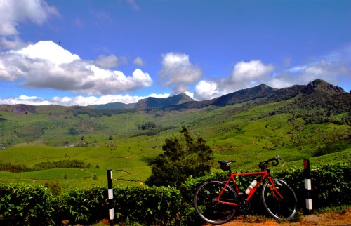 Tata Tea Garden is more like a hill station of Munnar