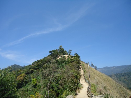 Top Station located in Munnar