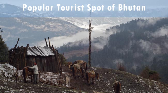 Popular tourist spot of Bhutan