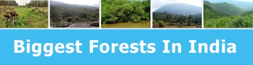 Biggest Forests In India