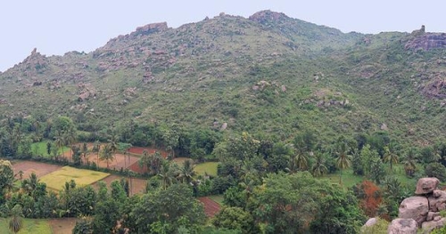 Palamathi Hills