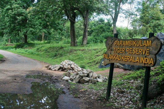 Parambikulam Wildlife Sanctuary in Kerala, India