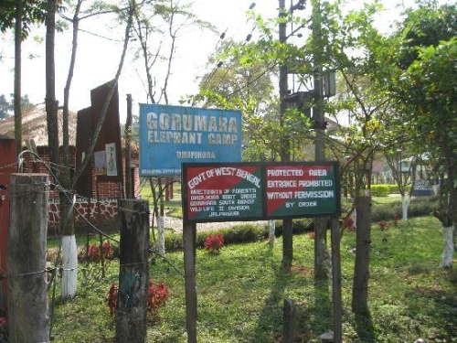 Gorumara National Park