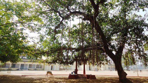 Ballavpur Wildlife Sanctuary