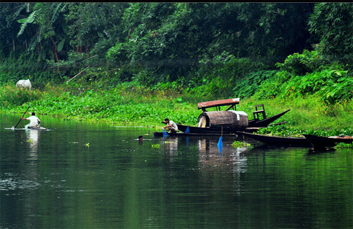 Bibhutibhushan Wildlife Sanctuary