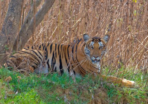 Nagarhole National Park