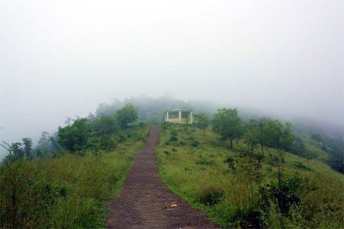 Wilson Hill Station