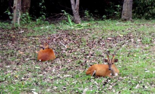 Intanki National Park