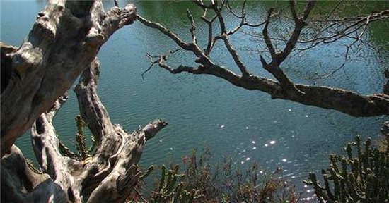 The Semadoh Lake in Amravati