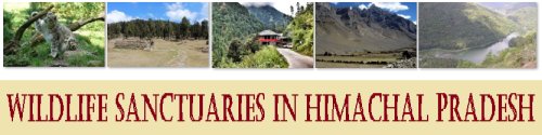 Wildlife Sanctuaries in Himachal Pradesh