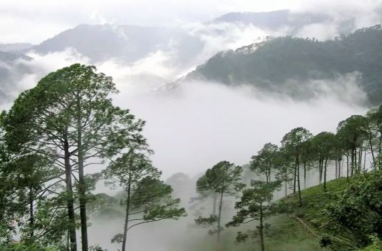 Araku Valley in Andhra Pradesh