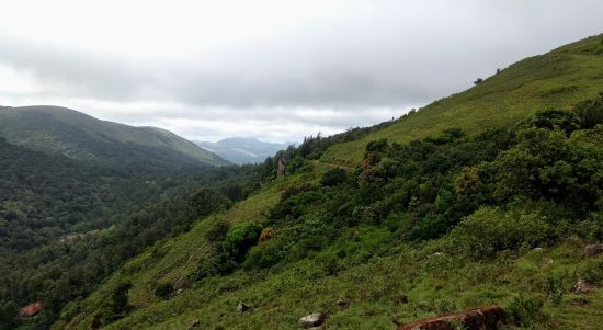 BR Hills in Karnataka