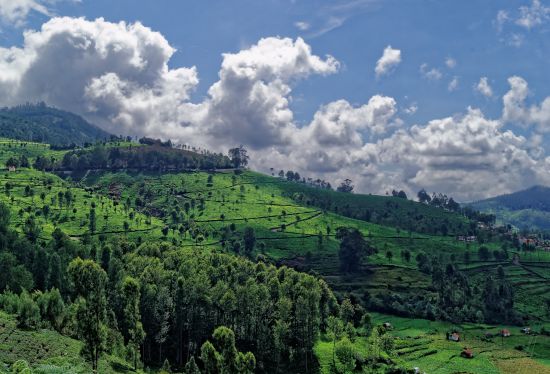 Kotagiri - a beautiful hill station