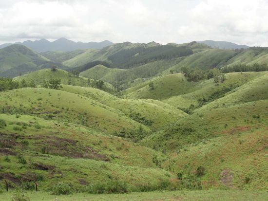 Peermede tourist spot in Kerala