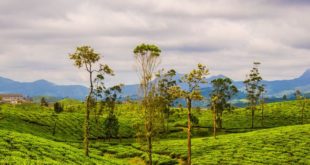 Top hill stations in Tamil Nadu